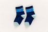 Lot de 5 chaussettes enfant bleues à motifs dinosaures. Confortables, douces et ludiques. Tailles de 12 mois à 12 ans. Parfait pour les petits explorateurs.